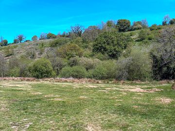 Rural setting