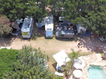 Pitches among the trees