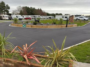 Site
