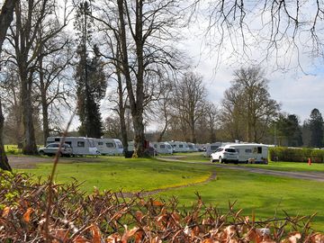 Pitches in sunny and shady spots
