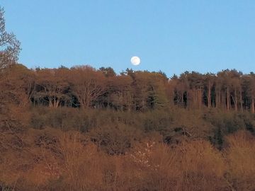 Moonrise