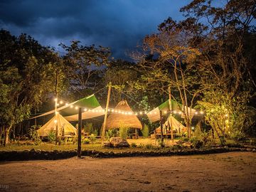 Bell tents by night