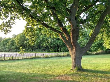 Peaceful setting