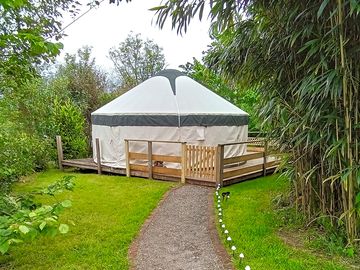 Path leading to the yurt