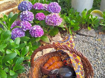 Breakfast basket for the figue caravan