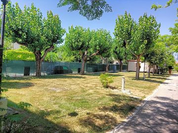 Pitches with trees for shade