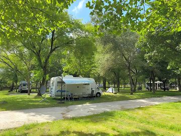 Pitch under the trees