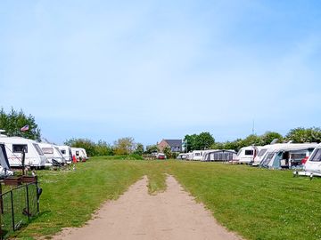 Middle of our camping site