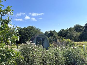 Tucked away in the greenery