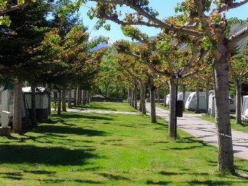 PAERCELAS