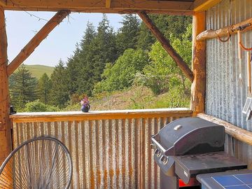 Covered porch with a gas barbecue