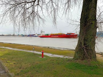 Marine views