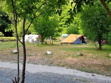 Tent pitches among the trees