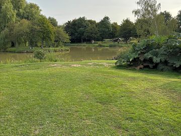 Lake view