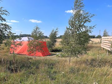 Grass tent pitch