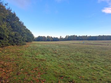 Wild camping area 7