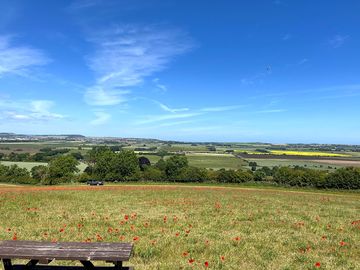 View from the top of the field