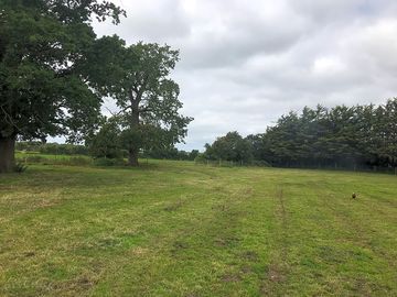 Camping paddock just off the A12