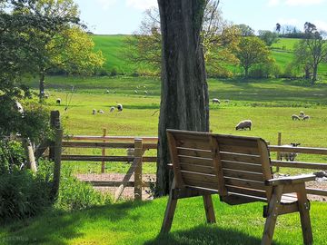Bench to enjoy the view
