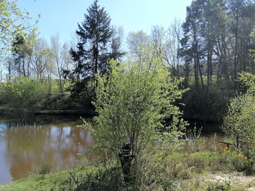 Peaceful lake setting