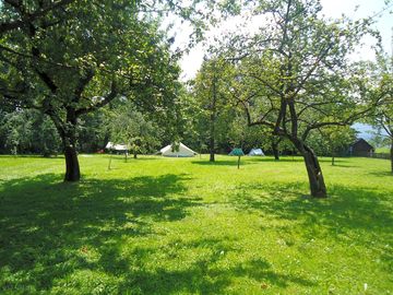 Sun and shade in the camping field