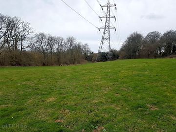 Space for kids and dogs to play