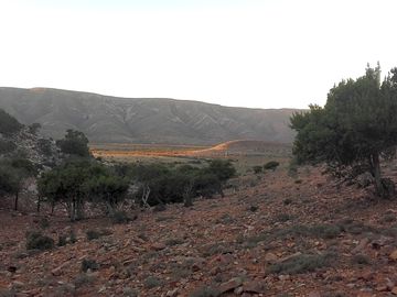 Views from the site