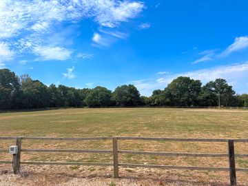 Field