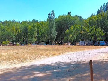 Pitches