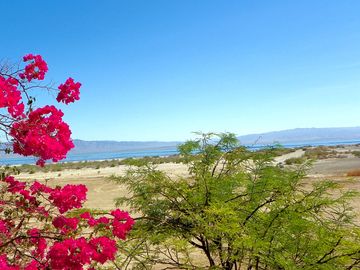 View of the Salton Sea from the café patio (added by manager 10 Oct 2017)
