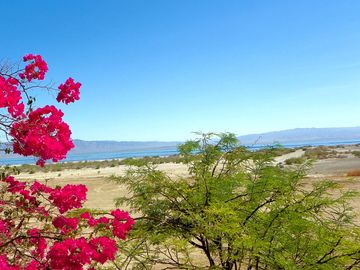 View of the Salton Sea from the café patio