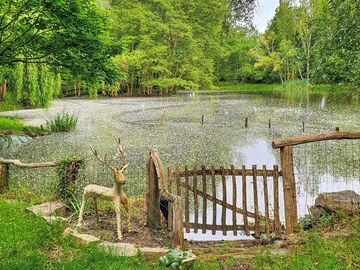 The pond on the site (added by manager 13 Oct 2022)