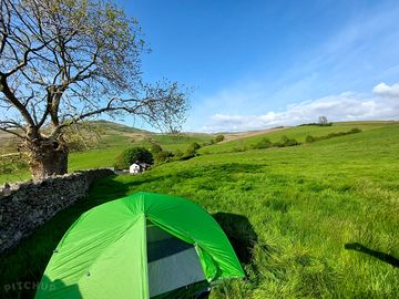 Grassy pitches (added by manager 05 Jun 2023)