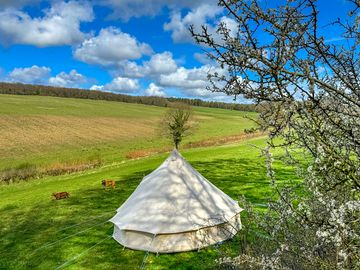 Morning views at Newhouse Farm Camping (added by manager 10 Apr 2024)