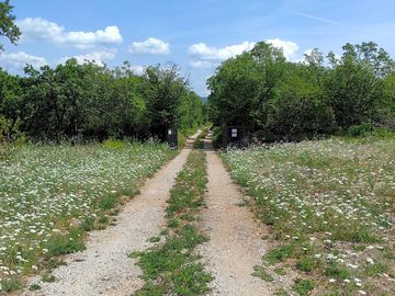 Site entrance and camping field