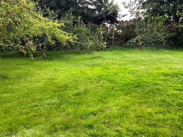 Grass pitch in the south part of the garden, in the orchard (added by manager 31 Jul 2020)