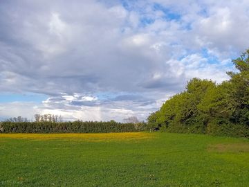 Camping field