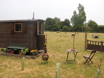 A quiet corner of the farm