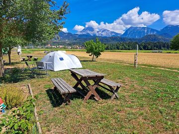 Spacious pitch with a stunning mountain view