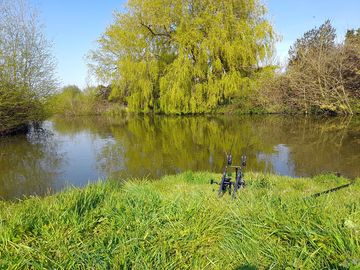 Stunning lake full of big carp (added by jamie_m227947 23 Apr 2022)