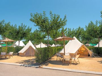 Glamping area among the trees (added by manager 10 Jan 2024)