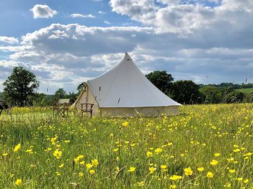 Bell tent glamping within the grounds of a stunning country estate (added by manager 01 Jun 2020)