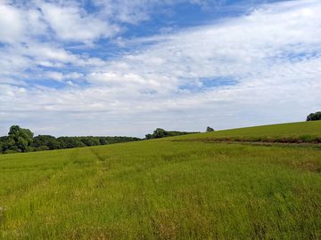 Grassy pitches (added by manager 05 Jun 2022)