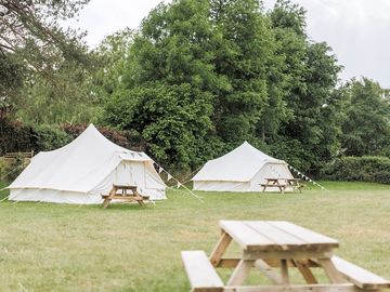 Bell Tents in the paddock
