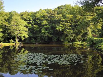 Nearby lakes
