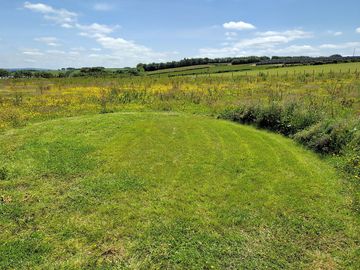 Mown pitch