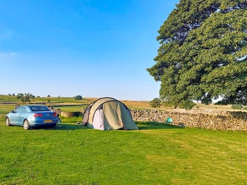 Visitor image of the non-electric camp pitch at top of site, with tree for morning shade (added by manager 12 Sep 2022)