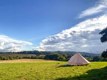 View from the site