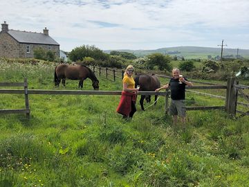Meet the friendly horses (added by manager 24 Jun 2019)