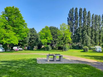 Trees all around the pitches